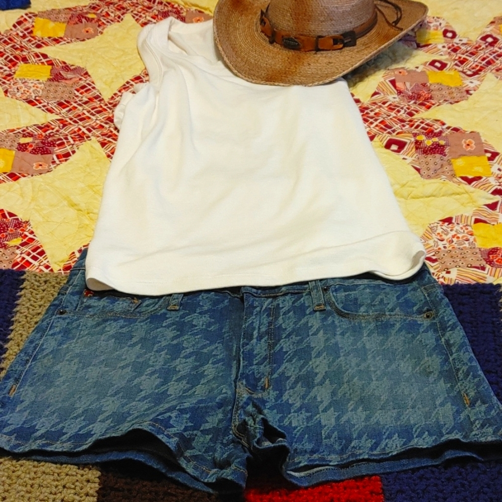 Hudson shorts